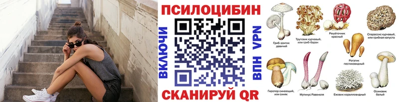 Галлюциногенные грибы Psilocybine cubensis Железногорск